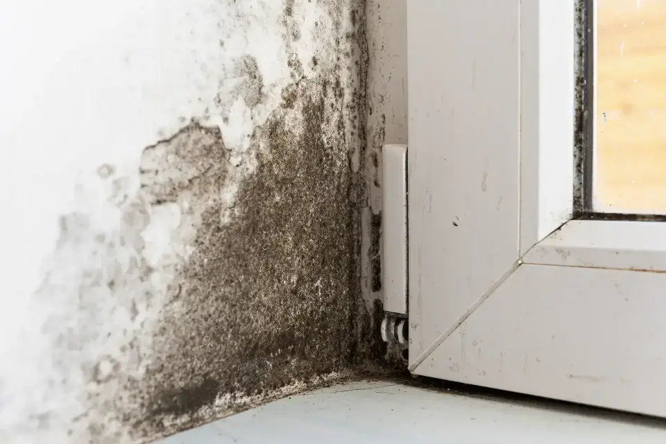 water damage restoration in Ken Caryl, CO