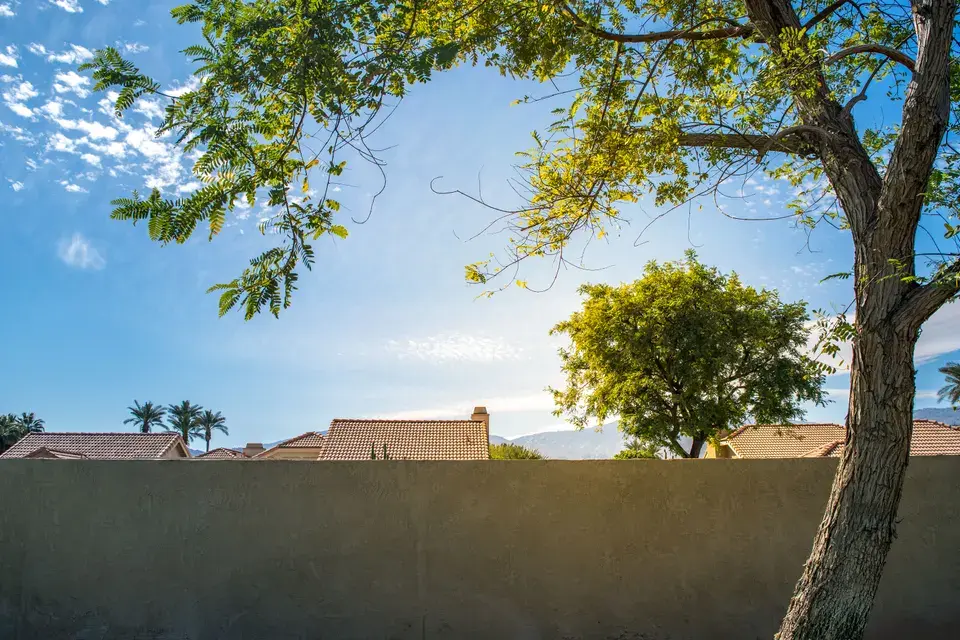 water damage restoration Lone Tree